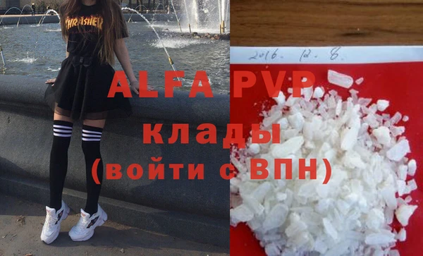 сатива Заводоуковск