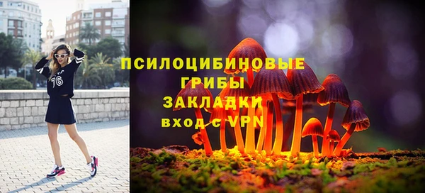 сатива Заводоуковск