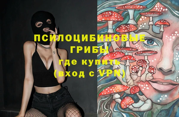 сатива Заводоуковск