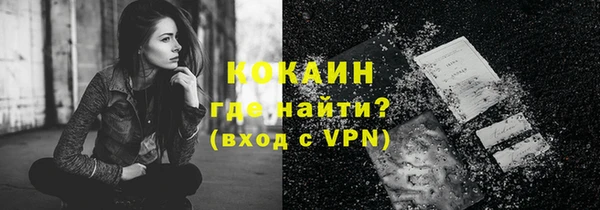 сатива Заводоуковск