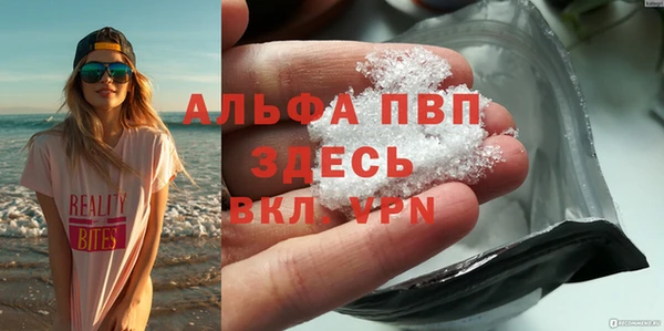 сатива Заводоуковск